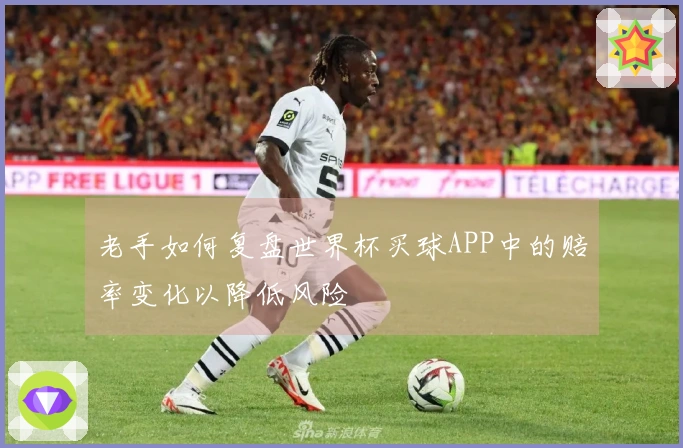 老手如何复盘世界杯买球APP中的赔率变化以降低风险