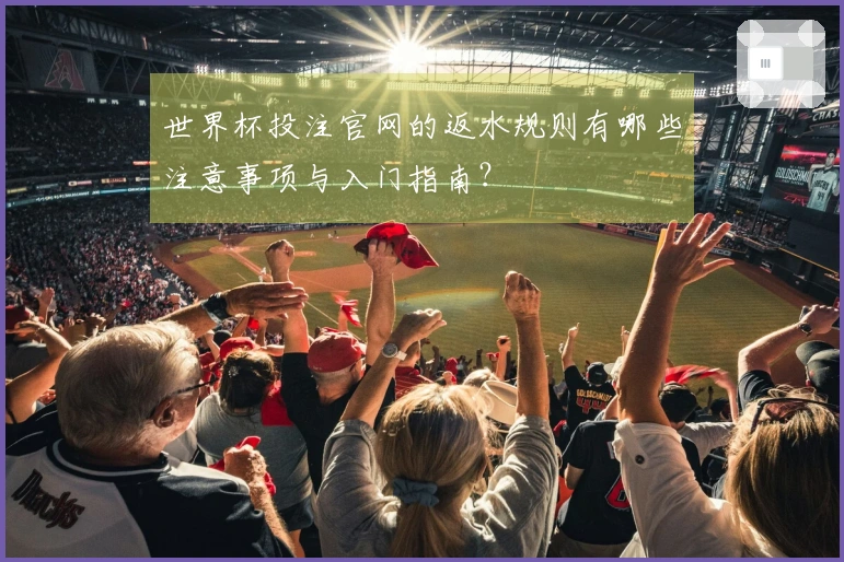 世界杯投注官网的返水规则有哪些注意事项与入门指南？