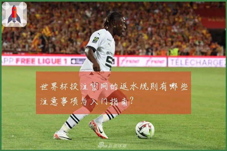 世界杯投注官网的返水规则有哪些注意事项与入门指南？