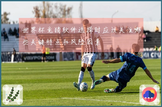 世界杯竞猜软件选择时应该关注哪些关键特点和风险因素