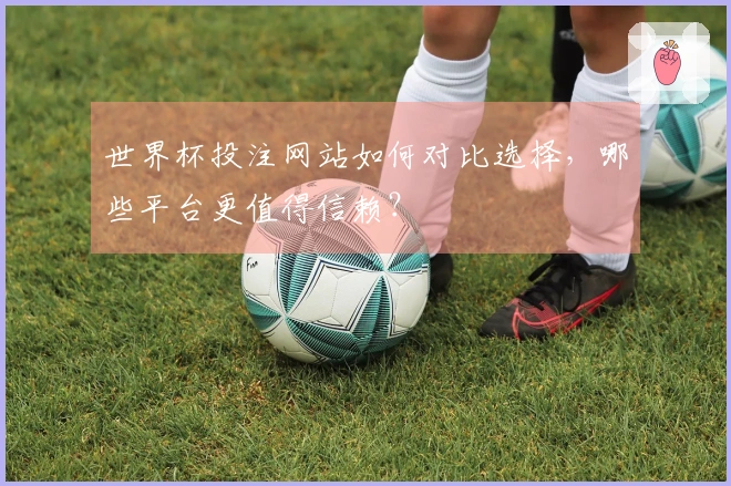 世界杯投注网站如何对比选择，哪些平台更值得信赖？