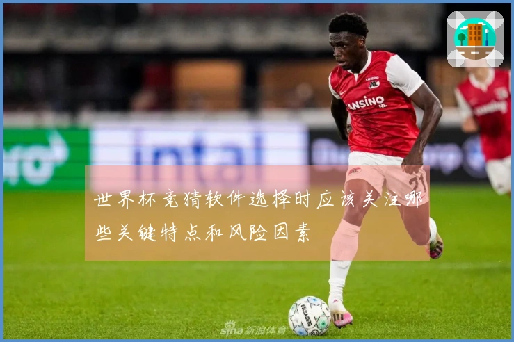 世界杯竞猜软件选择时应该关注哪些关键特点和风险因素