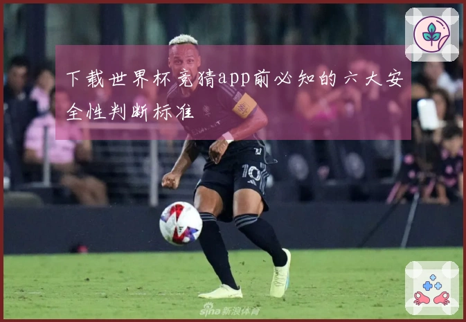 下载世界杯竞猜app前必知的六大安全性判断标准